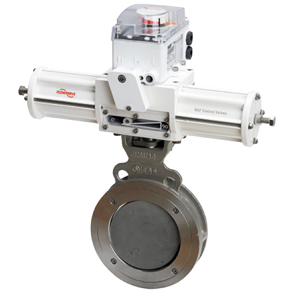 Torex